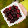 HapHug Freeze Dried Fruits, Healthy Snacks